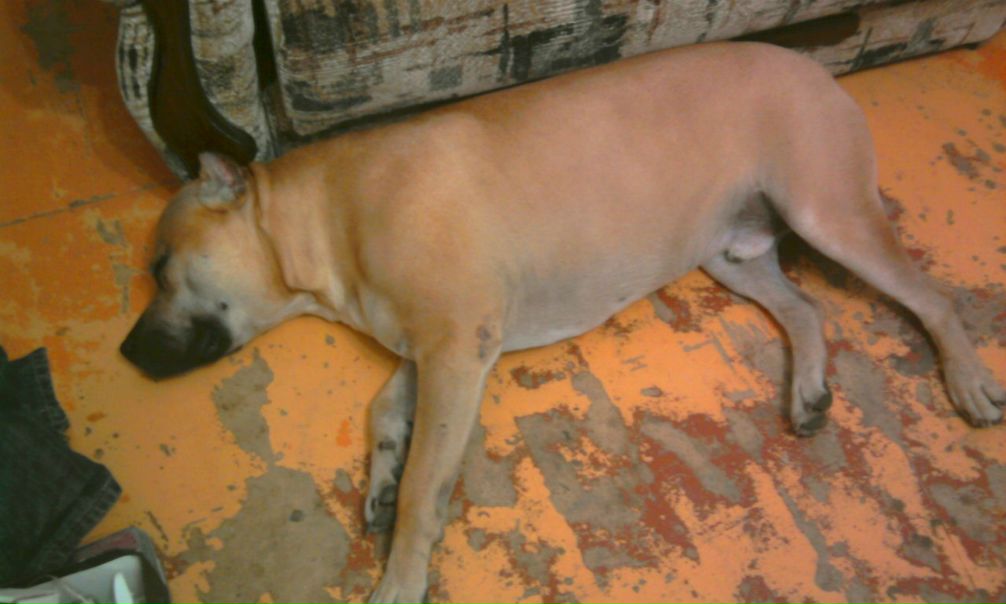 №11, Славик Кавун, 36 лет, Полтава №11, Славик Кавун, 36 лет, Полтава