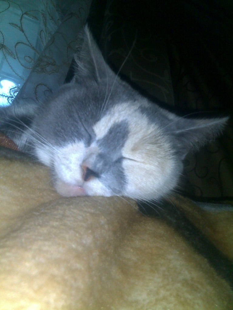 Любовь Любовь | New York City