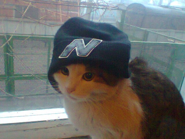 Валентин Чернега | Запорожье