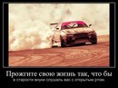 Фотография Данилова Александра