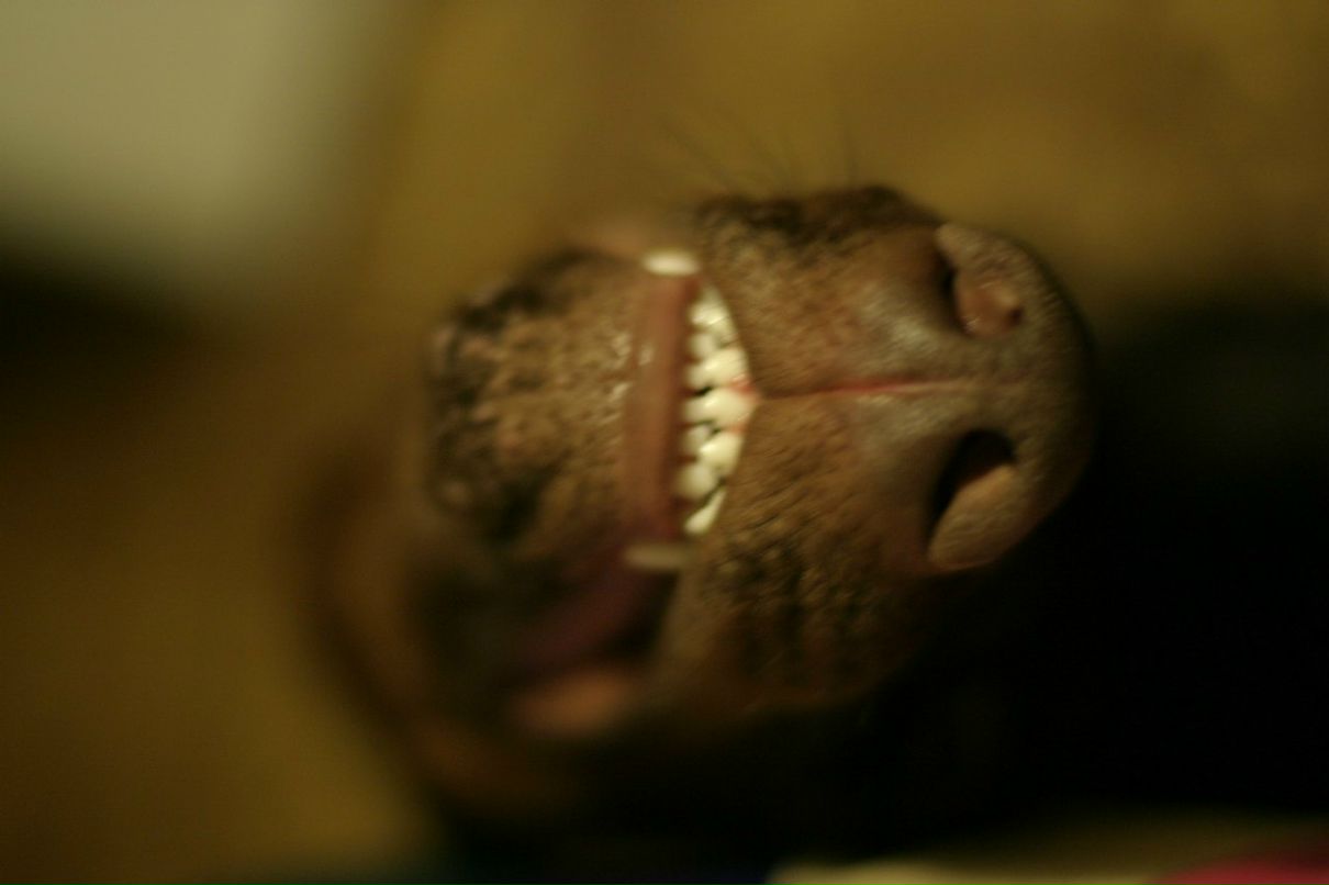 Константин Торин | Москва