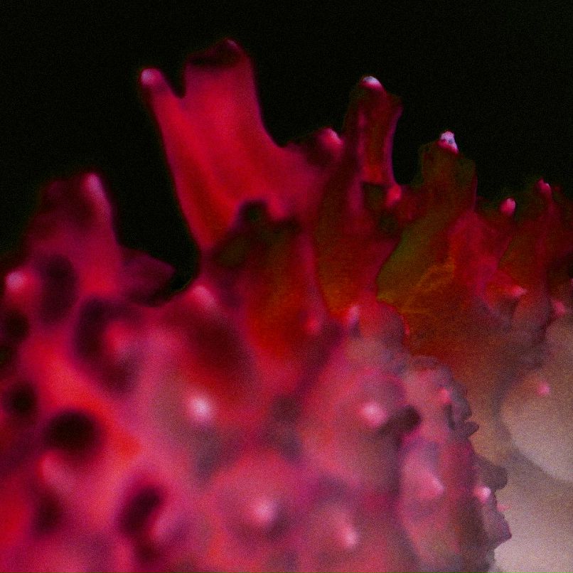 Дмитрий Смирнов | Москва