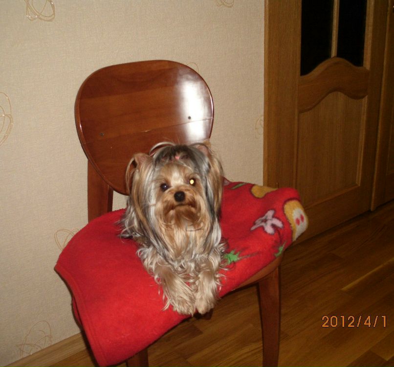 Елена Стригун | Киев