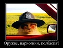 №37 Александра Буртман