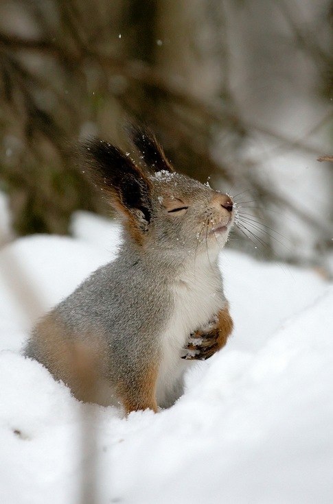 Дмитрий Кол | Старый Оскол