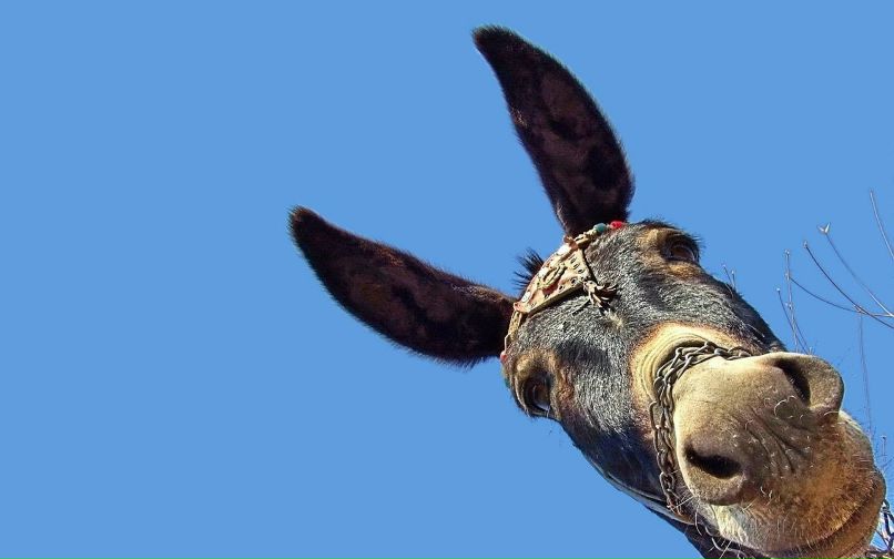 Евгений Коршиков | Москва