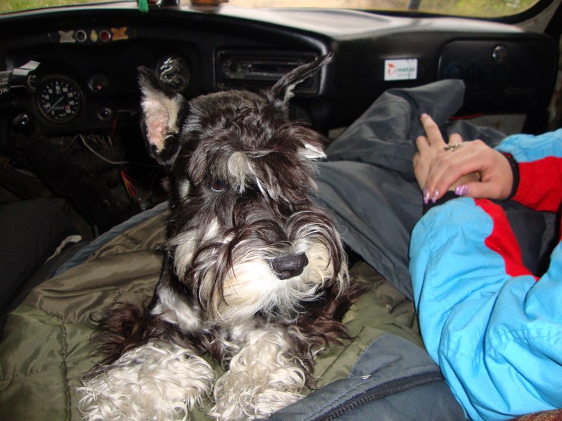 Светлана Тинькова | Луостари Верхнее