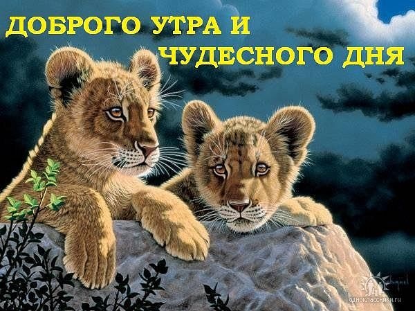 №18, Максим Романцов, 36 лет, Амвросиевка №18, Максим Романцов, 36 лет, Амвросиевка