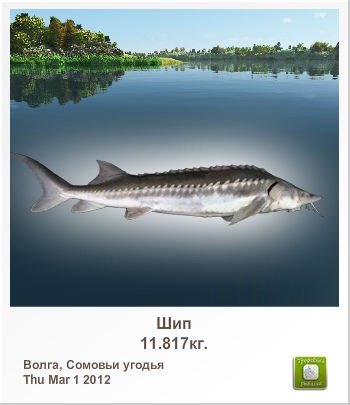 Виктор Батрак | 