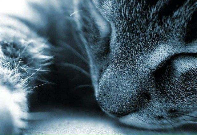 №109, Максим Бережной, Москва №109, Максим Бережной, Москва