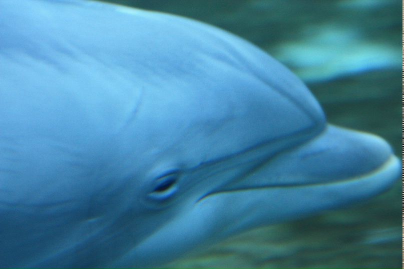 Ксюша Абдуханова | Москва