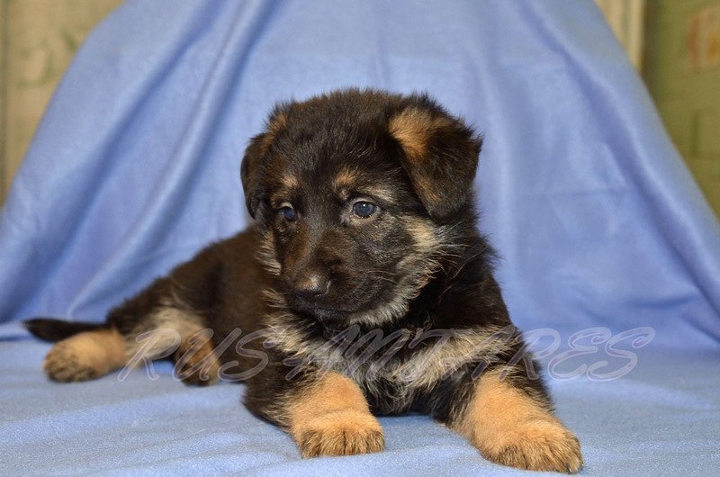 Варвара Фомина | Великий Новгород