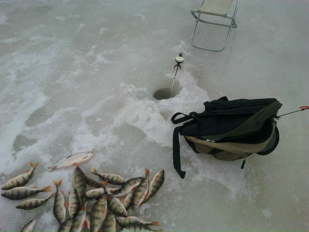 Александр Вилонен | Таллин