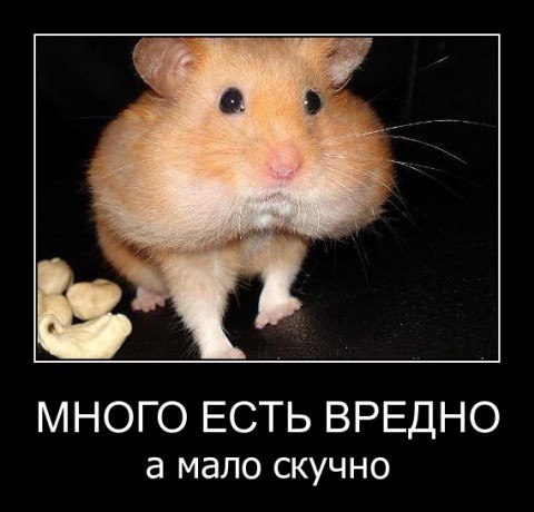 Оксана Сокова | Черкассы