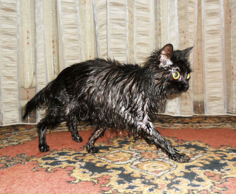 Диана Штоль | Warszawa