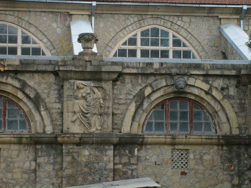 Илья Солянкин | Брянск