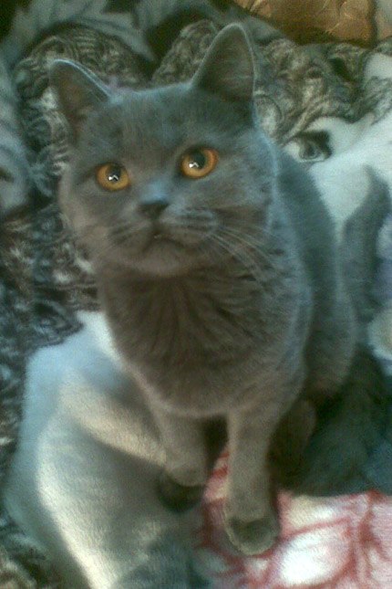 Андрій Бондар | Гайсин