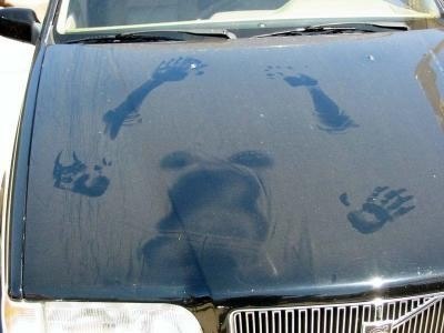 Павел Черняков | Кемерово