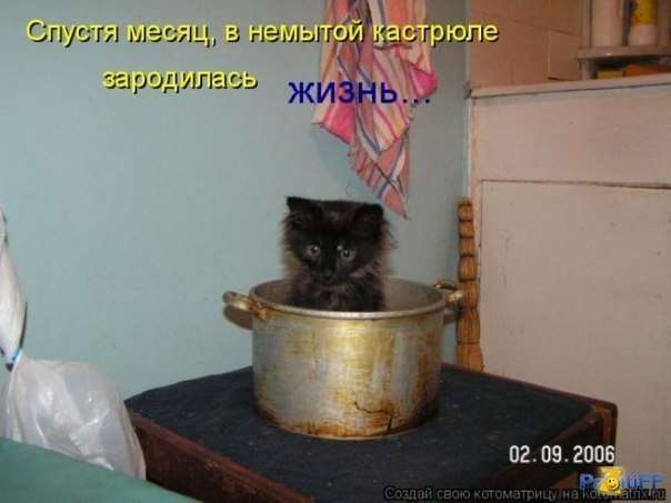 Олег Коршин | Санкт-Петербург