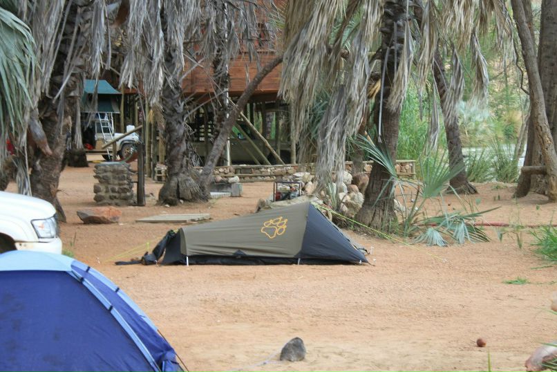 Илона Савицкая | Санкт-Петербург