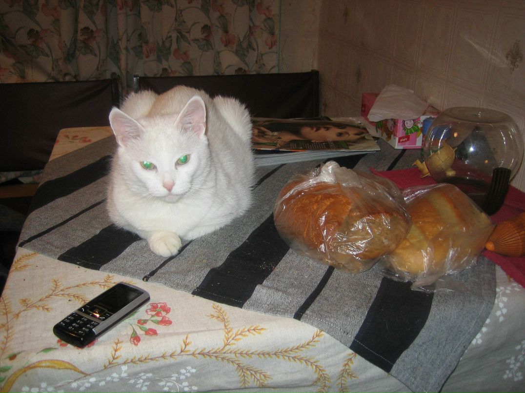 Юлия Бортничук | Москва