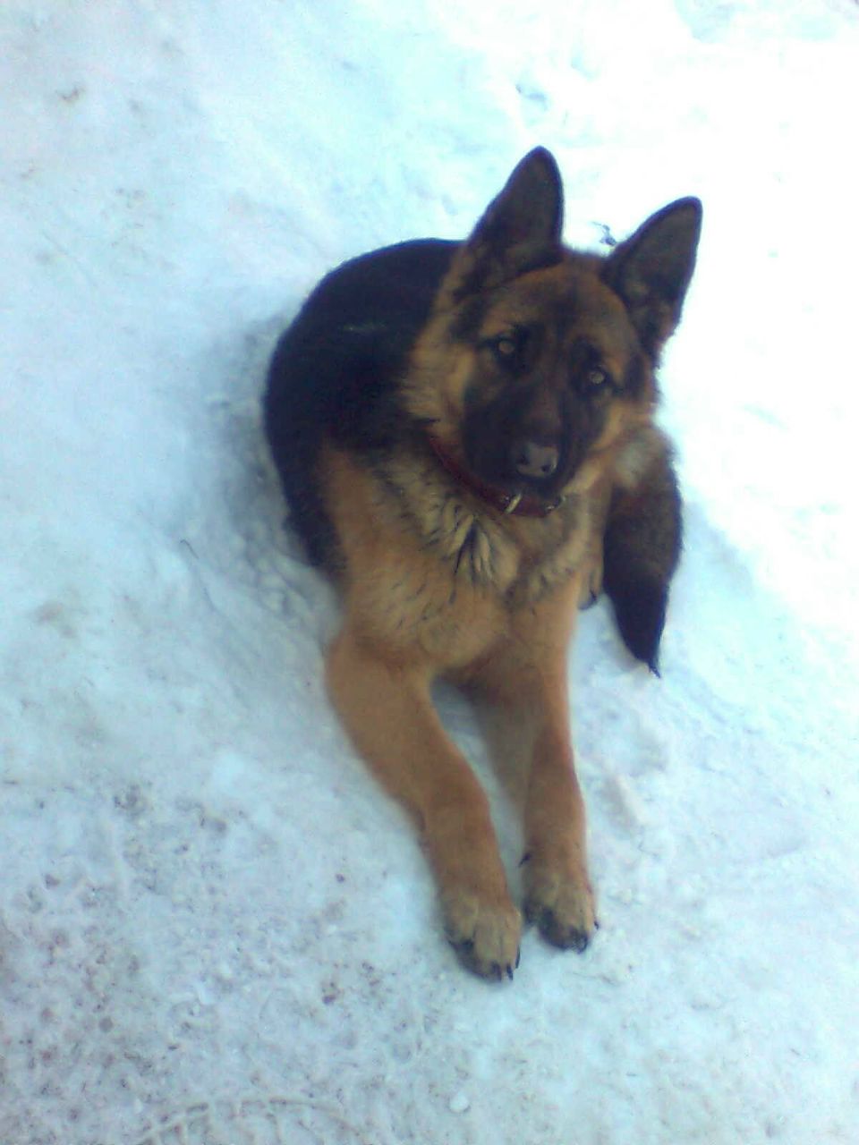 Никита Афанасьев | Нижнекамск