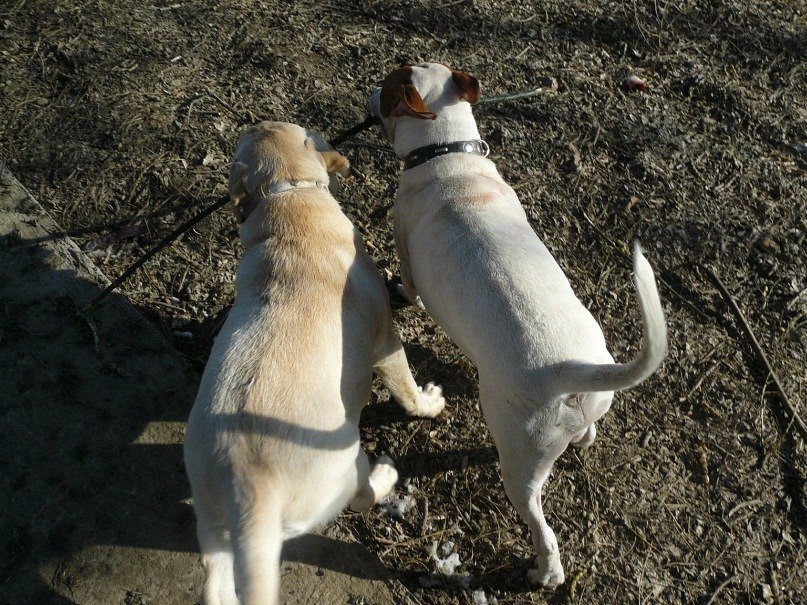 Инна Ошовская | Одесса