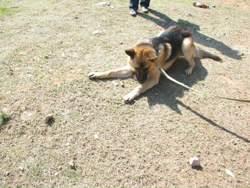 №19, Руслан Гордеев, Львов №19, Руслан Гордеев, Львов