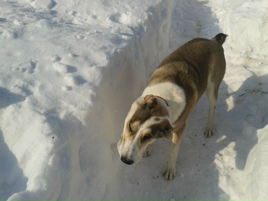 Татьяна Полушина | Москва