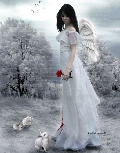 №4, Екатерина Воробьева, Великий Новгород №4, Екатерина Воробьева, Великий Новгород