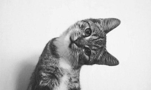 Ксения Фомина | 