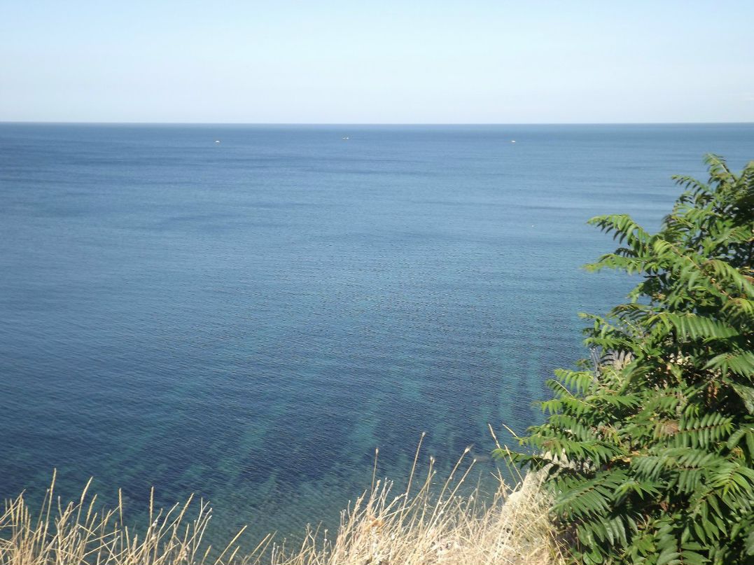 Дмитрий Евполов | Чебоксары