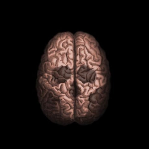 Серёга Силай ™Š-ï-Î-ã-y™ | Красноярск