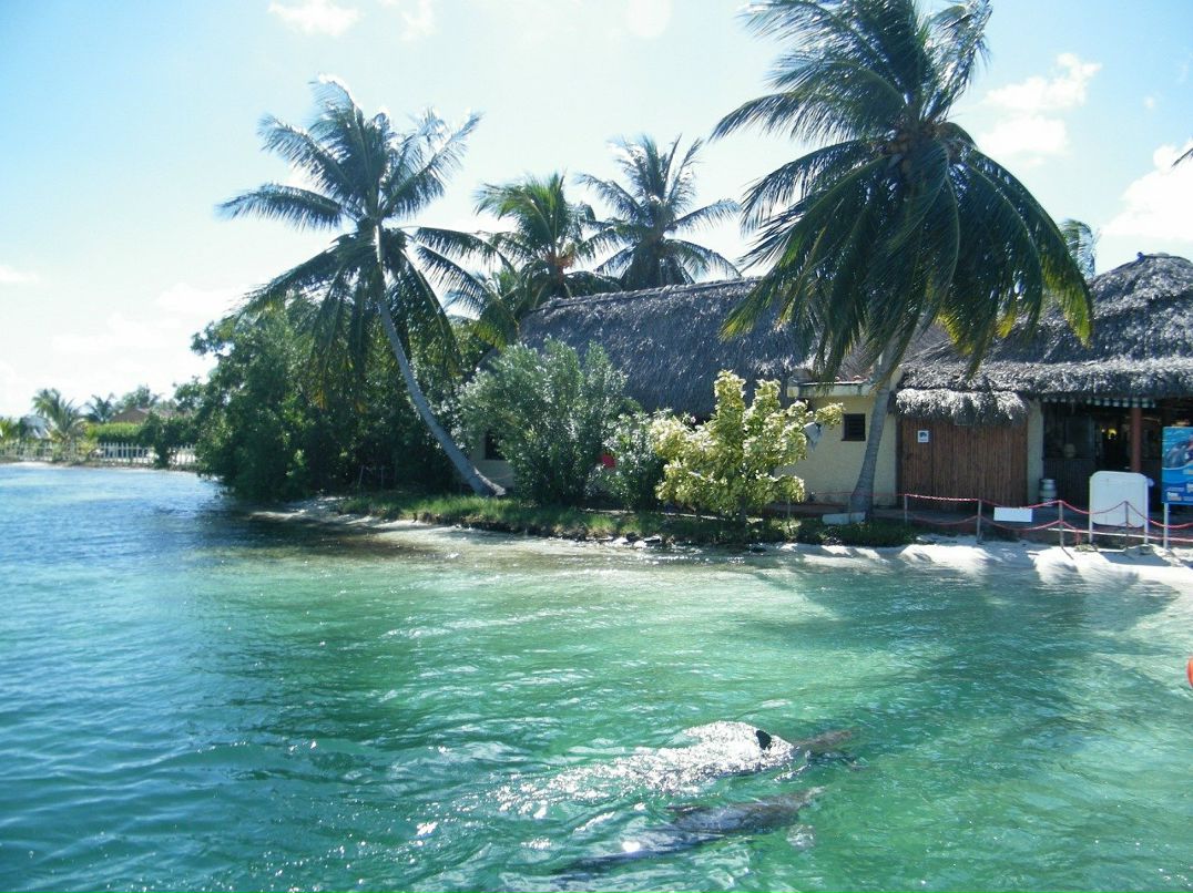 Мария Коковина | Санкт-Петербург