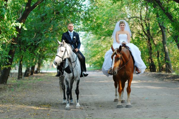 №156, Анастасия Мороз-Фомина, Запорожье №156, Анастасия Мороз-Фомина, Запорожье