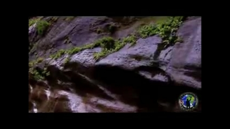 Visone Vs Sara Pollino Heart Soul Sound Lift