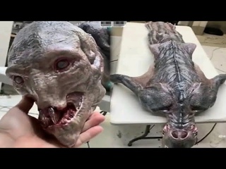 Wissenschaftler entdeckten auerirdischen Mutanten in Tschernobyl