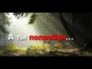 Откуда берутся все болезниОчищение Сыроедение Смотреть!