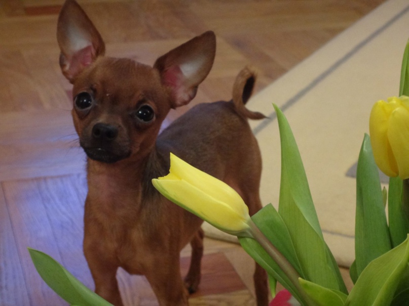 Вячеслав Федулов | Санкт-Петербург