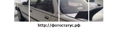 Роман Романов | Новосибирск