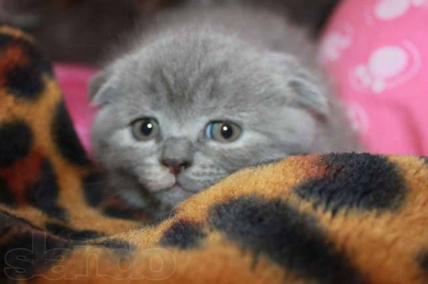 Женя Сорокина | Москва