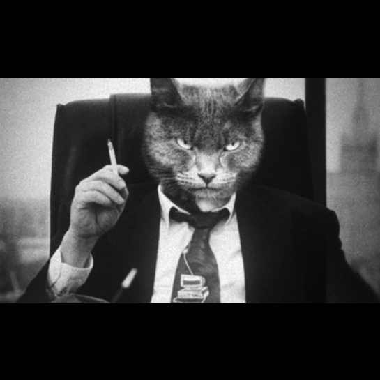 Denis Anatolevich | Донецк