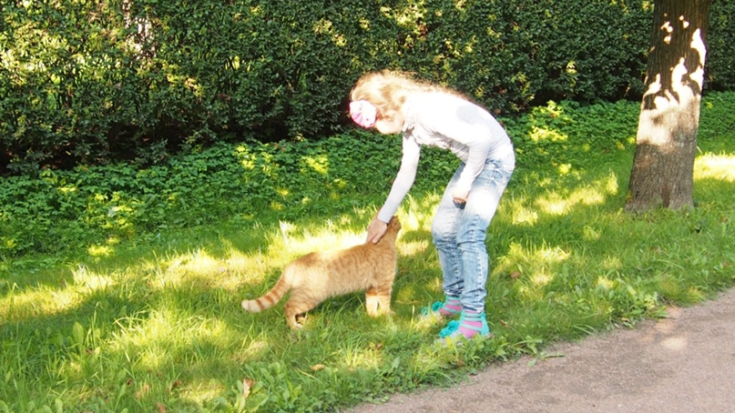 Динара Седова |