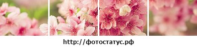 Анастасия Романюк | Новомосковск