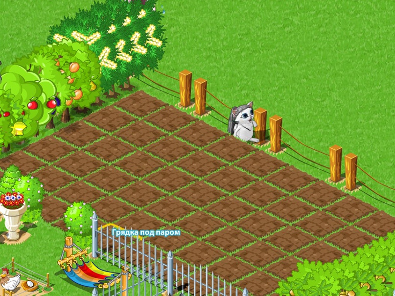 Эльвира Халикова | Казань