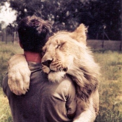 Илья Красавин | Houston