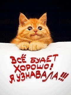 Татьяна Костюк | Днепр (Днепропетровск)