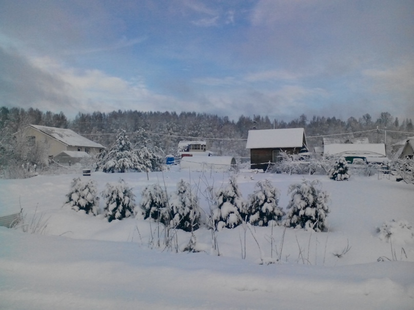 Инна Горячева | Санкт-Петербург