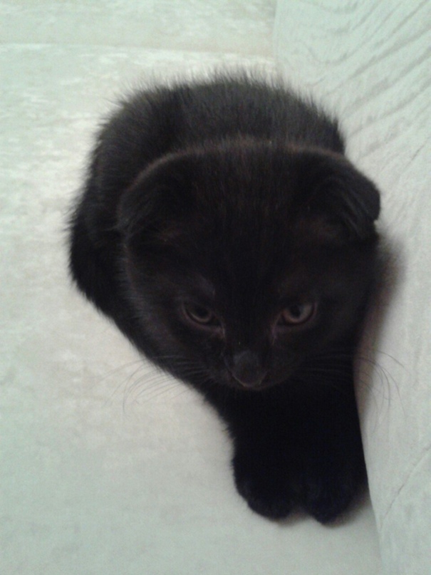 Ирина Константинова | Киров