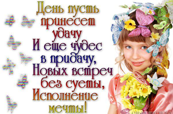 День принес фото